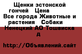 Щенки эстонской гончей › Цена ­ 7 000 - Все города Животные и растения » Собаки   . Ненецкий АО,Тошвиска д.